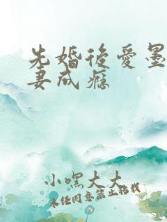 先婚后爱墨少宠妻成瘾