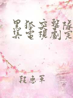 黑狐突击队43集电视剧完整版