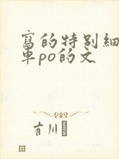 写的特别细的开车po的文