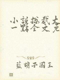 小说总裁大人轻一点全文免费阅读