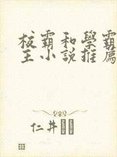 校霸和学霸双男主小说推荐现代文
