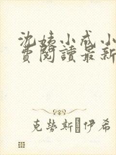 沈姨小成小说免费阅读最新章节更新