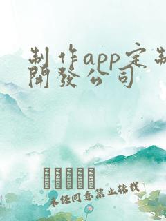 制作app定制开发公司