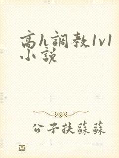高h调教1v1小说