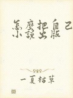 怎么把自己写的小说出版
