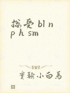 总受 bl np h sm