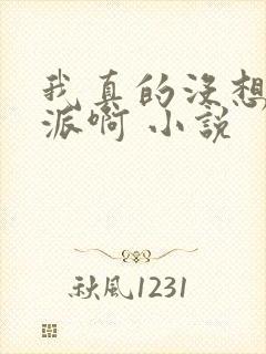 我真的没想当反派啊 小说
