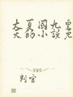 大夏国九皇子夏天的小说免费阅读