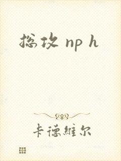 总攻 np h