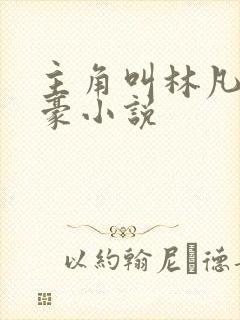 主角叫林凡的神豪小说