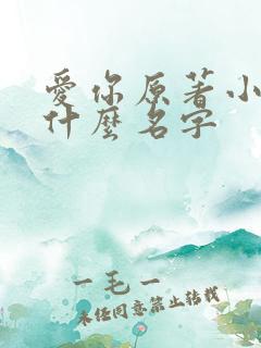 爱你原著小说叫什么名字