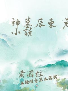 神墓辰东 免费小说