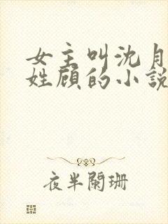 女主叫沈月男主姓顾的小说