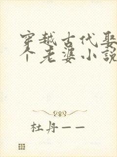 穿越古代娶了三个老婆小说