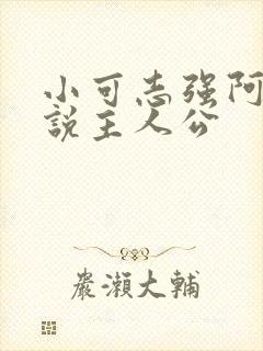 小可志强阿梅小说主人公
