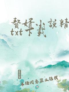 赘婿小说精校版txt下载