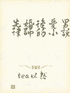 先婚后爱男主是律师的小说