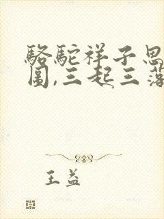 骆驼祥子思维导图,三起三落