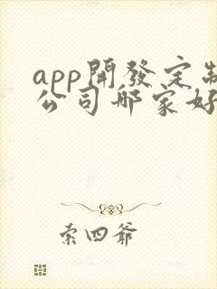 app开发定制公司哪家好