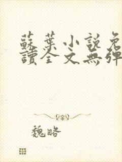 苏叶小说免费阅读全文无弹窗