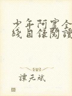 少年阿宾全集在线目录阅读全文原文