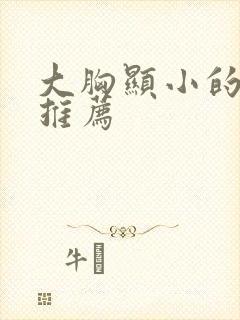 大胸显小的文胸推荐