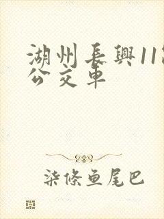 湖州长兴11路公交车