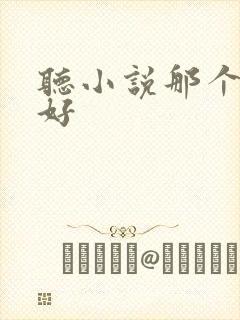听小说那个软件好