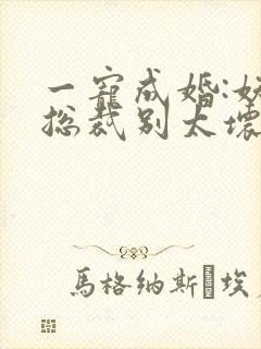 一宠成婚:妖孽总裁别太坏