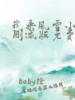 我乘风雪小说无删减版免费阅读