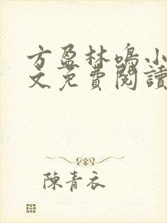 方盈林鸣小说全文免费阅读