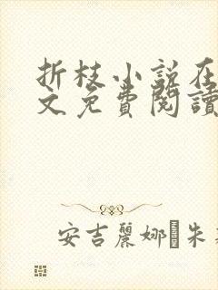 折枝小说在线全文免费阅读无弹窗