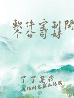 软件定制开发哪个公司好
