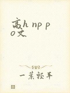 高h np po文