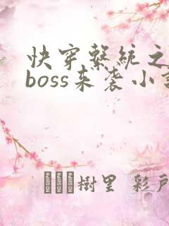 快穿系统之反派boss来袭小说免费阅读