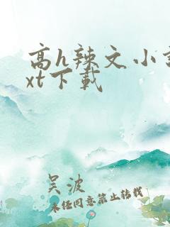 高h辣文小说txt下载 高h辣文小说txt下载
