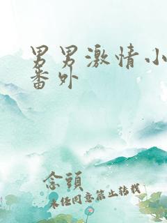 男男激情小说+番外 男男激情小说+番外