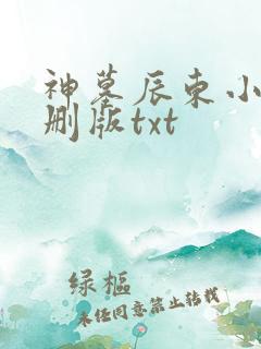 神墓辰东小说未删版txt