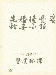 先婚后爱蜜宠娇甜妻小说
