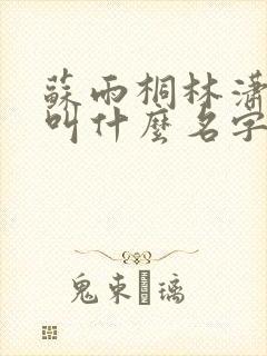 苏雨桐林潇小说叫什么名字