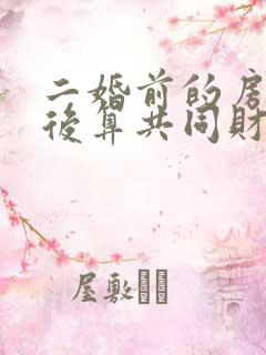 二婚前的房子婚后算共同财产吗