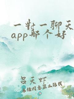 一对一聊天交友app哪个好