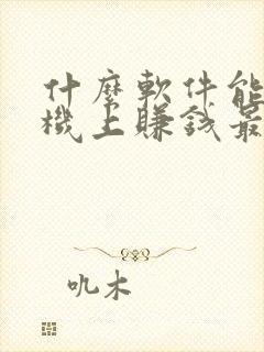 什么软件能在手机上赚钱最快