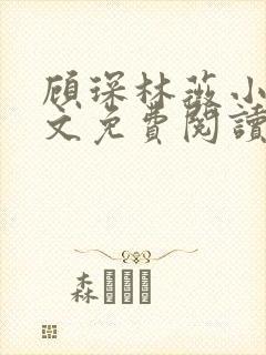 顾琛林薇小说全文免费阅读最新章节
