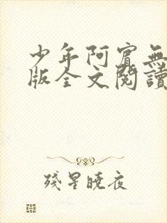 少年阿宾无删减版全文阅读