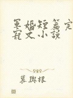 军婚短篇完结甜宠文小说