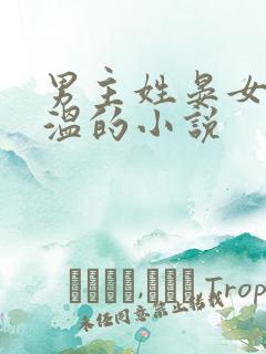 男主姓晏女主姓温的小说 男主姓晏女主姓温的小说