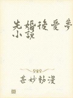 先婚后爱梦筱二小说