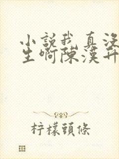 小说我真没想重生啊陈汉升全文阅读