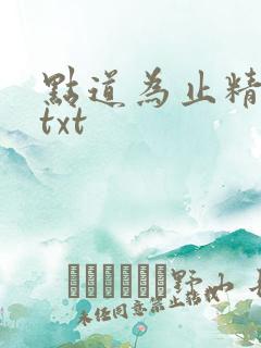 点道为止精校版txt